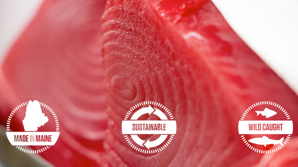 Spotlight: Maine Bluefin Tuna