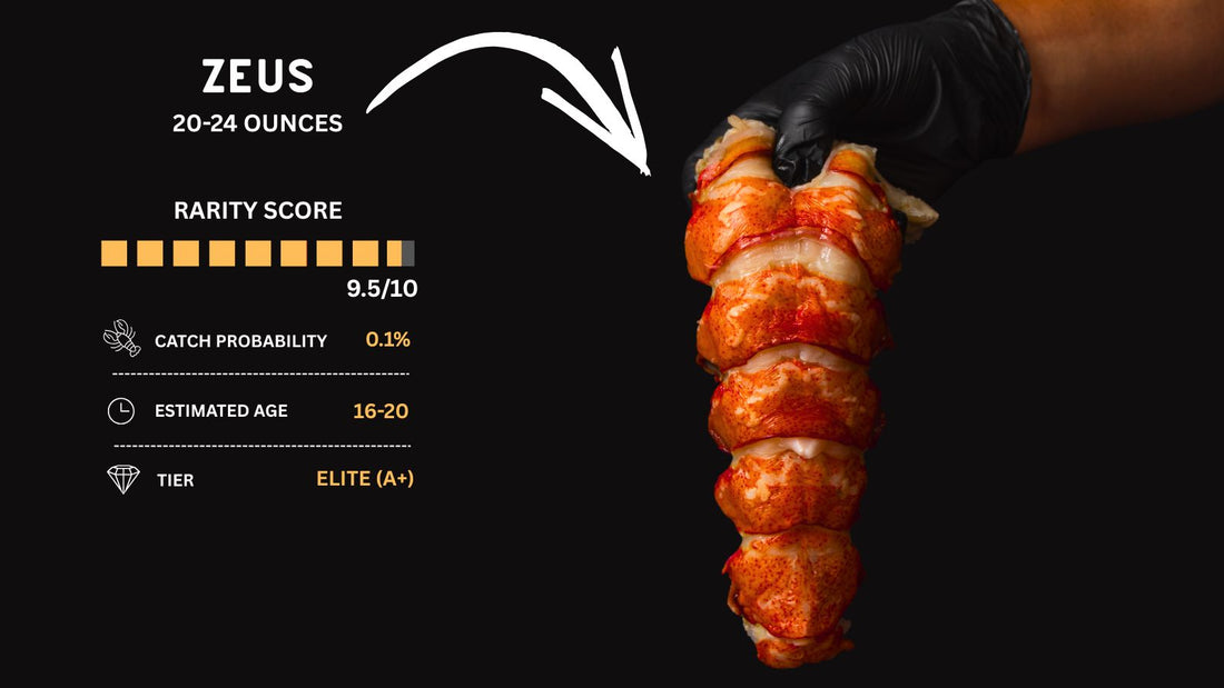 Twin 20-24 oz Lobster Tails