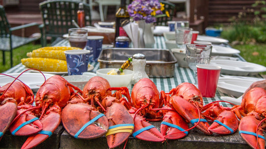 6 LIVE MAINE LOBSTERS