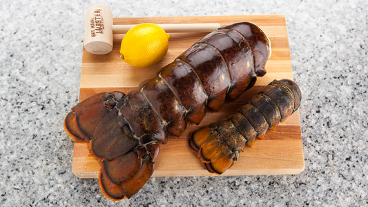 Lobster Tail The Size of His Forearm [FREE Shipping]