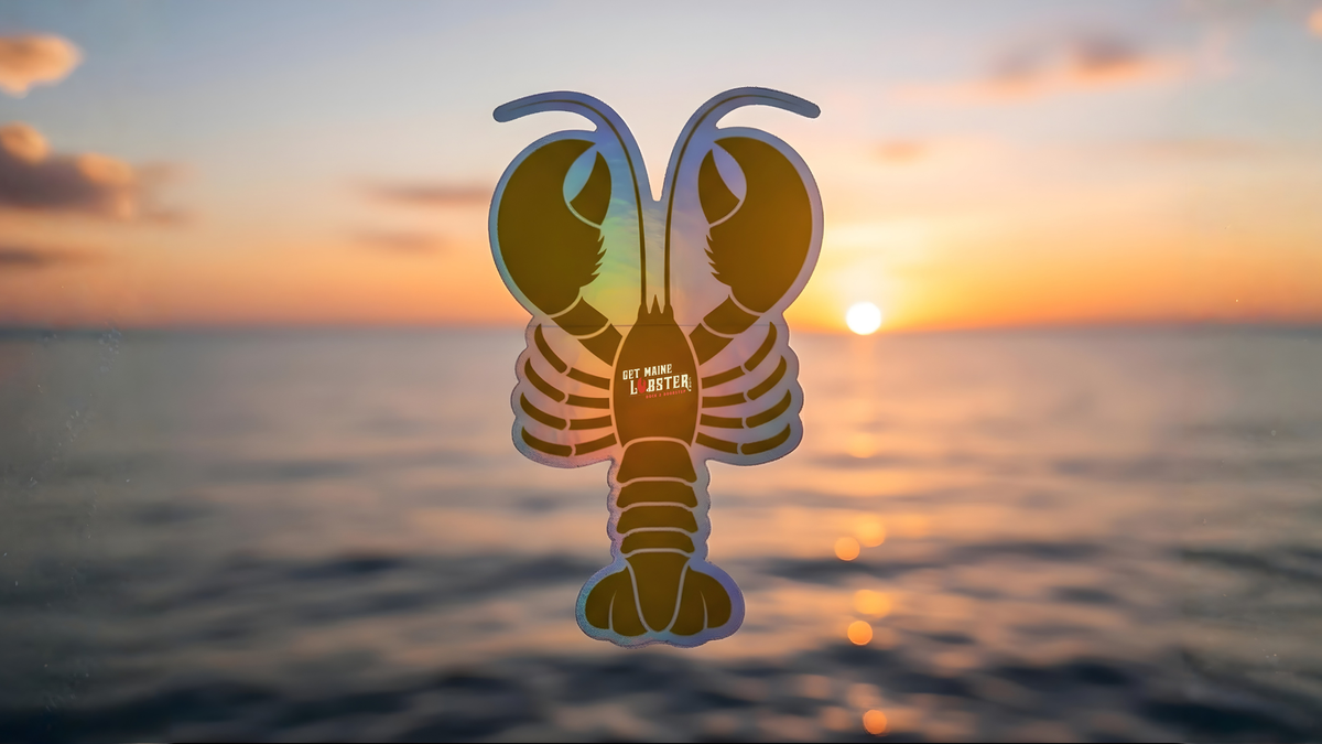 The Golden Lobster Hunt: Celebrating 10 Years of December Kindness