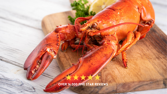 The Maine Ingredient For Your Five-Star Weekend: Live Lobsters👉Best Price. Ships Free.