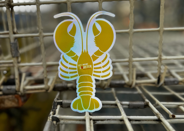The Golden Lobster Hunt: Celebrating 10 Years of December Kindness