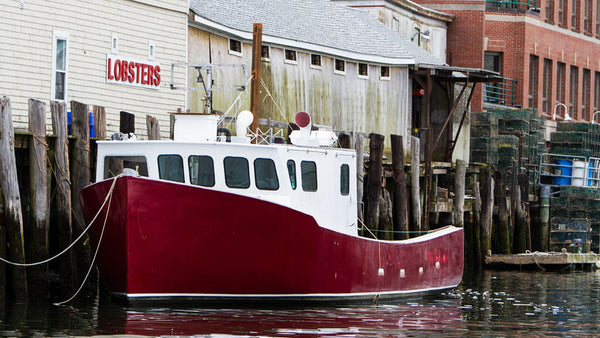 Why Maine Lobster is Better