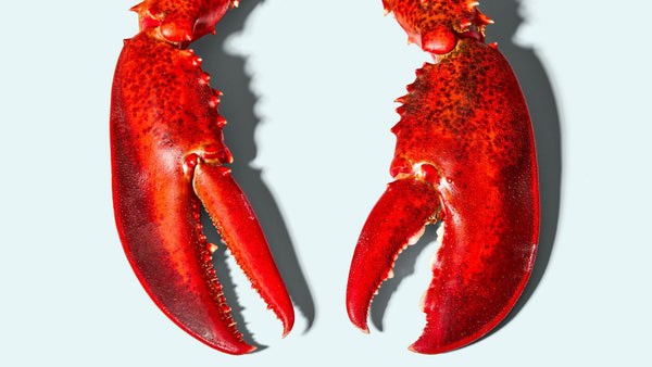 No Price Hikes. Just Lobster (and a Shot at $500).