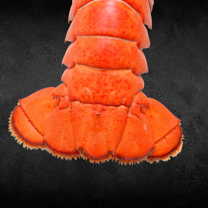 Imperial Lobster Tails Six-Pack (10-12 oz)
