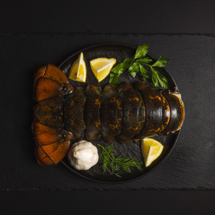 Zeus 20-24 Ounce Lobster Tail