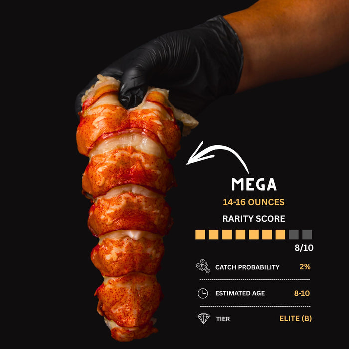 Twin Mega 14-16 oz Lobster Tails