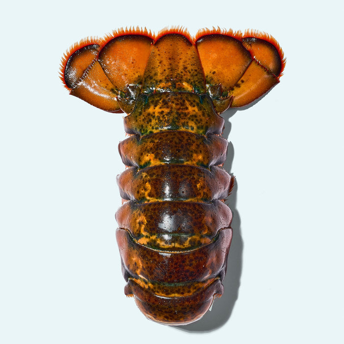 Mark's Holiday Legacy Box