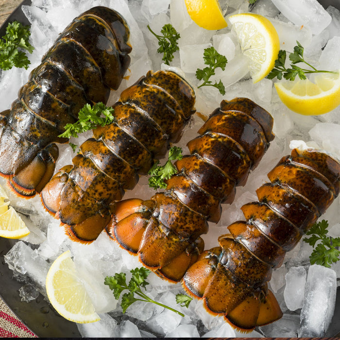 Lobster Tails & Steak Tips