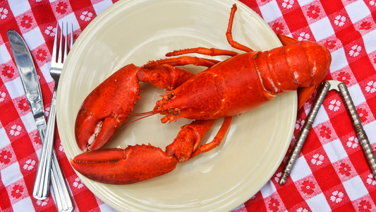 Special Live Maine Lobsters 4-Pack (1-1.2 lb)