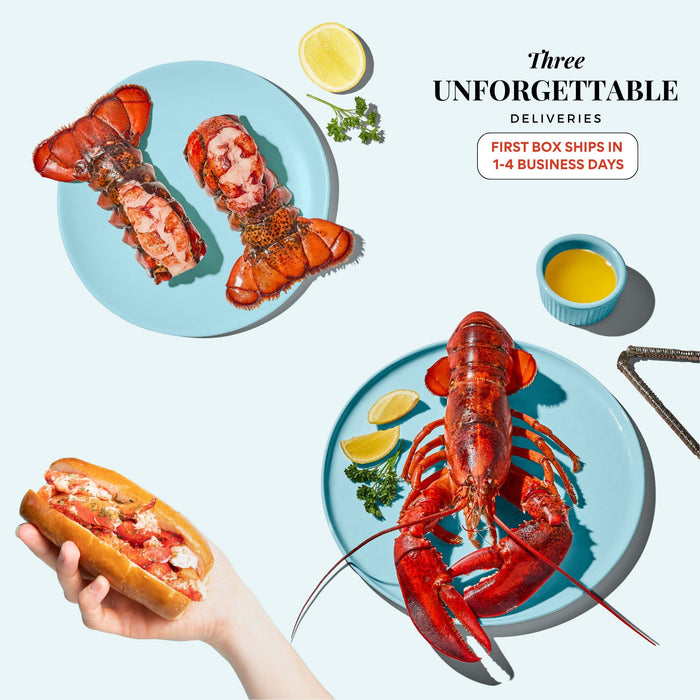 YOUR LOBSTER INDULGENCE