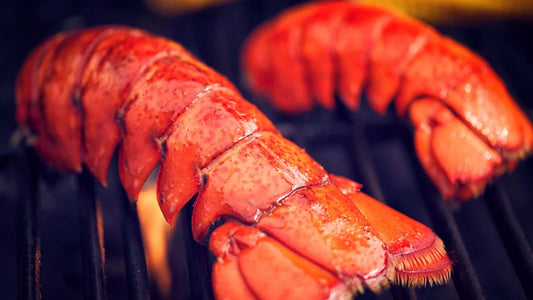 Special 10 Pack Maine Lobster Tails (4-5oz) + Free Shipping