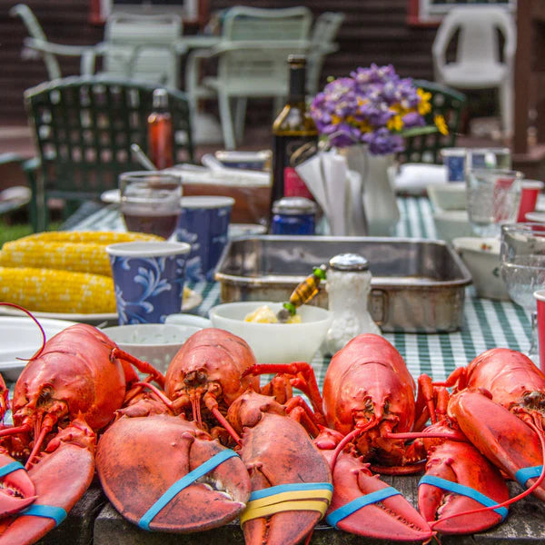 Cooked whole Maine lobsters set on an outdoor table with wine, and summer sides.