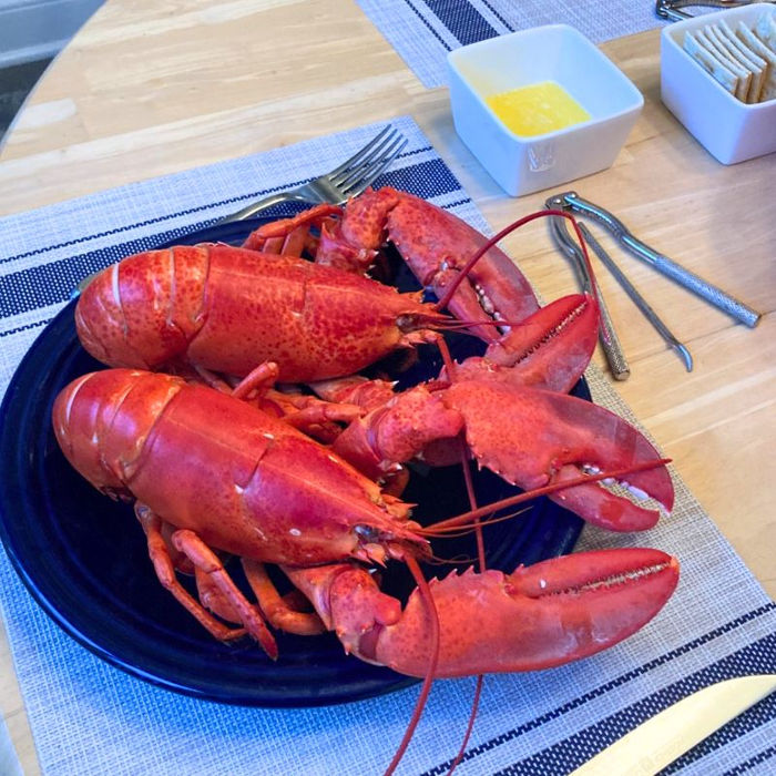 Twin Live Maine Lobsters (1.8 - 2.2lb each)