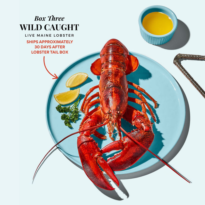YOUR LOBSTER INDULGENCE