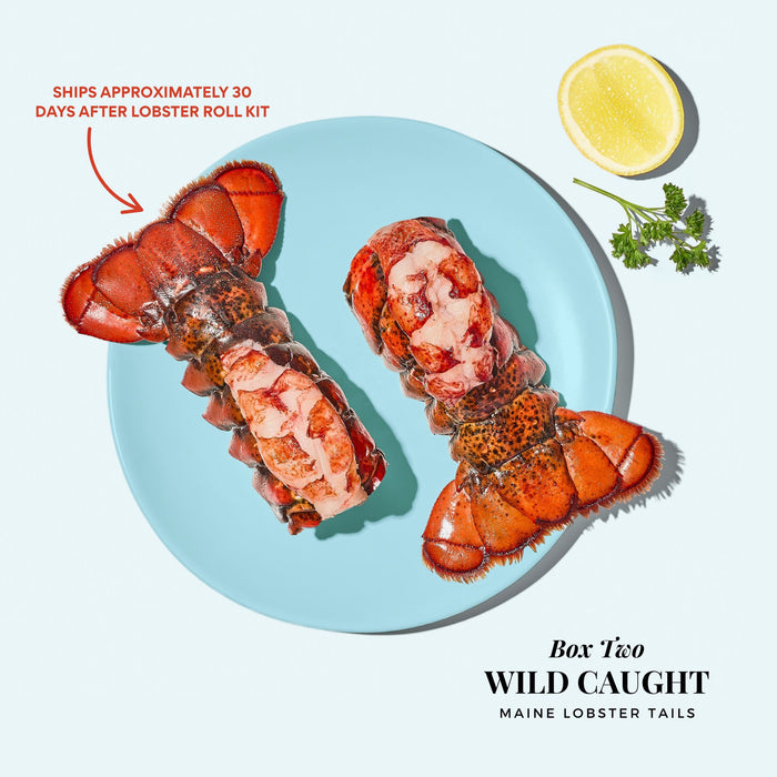 YOUR LOBSTER INDULGENCE
