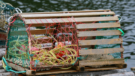 The Truth Behind The Bait Issue in Maine Blog image by Get Maine Lobster