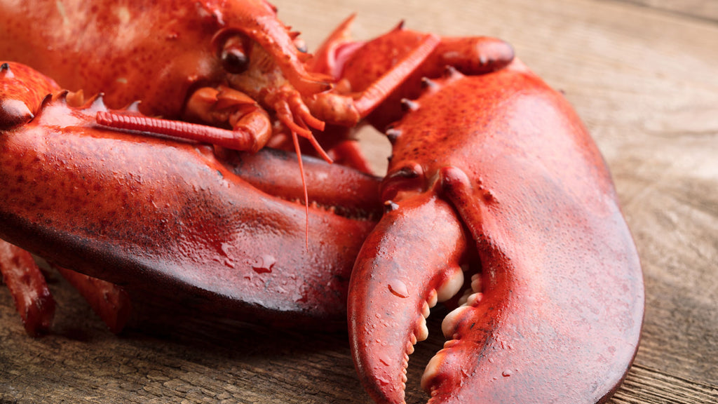 Why Make It Maine? Preparing Cooked Lobster Products - Maine Lobster