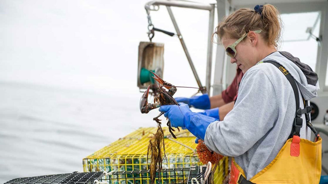 Spotlight: The Inspiring Women of Maine's Lobster Industry