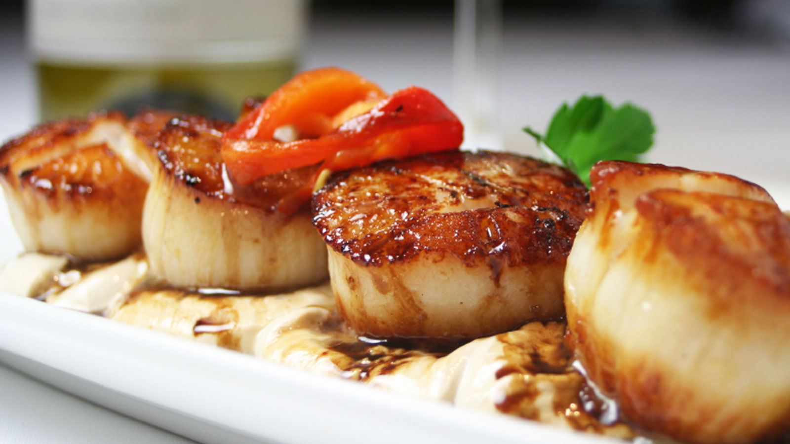 How to Prepare Maine Scallops at Home – Get Maine Lobster