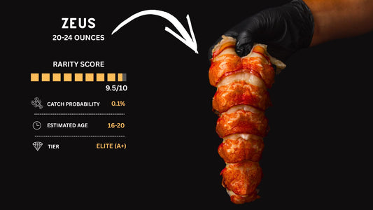 Twin 20-24 oz Lobster Tails