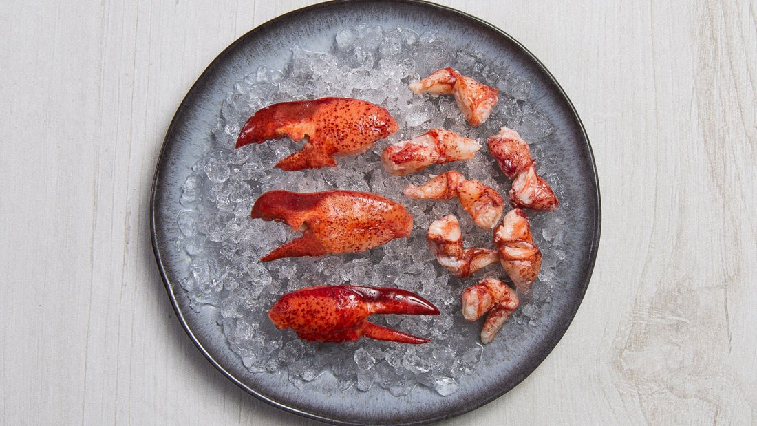 MAINE'S FINEST: HAND-HARVESTED CLAW & KNUCKLE LOBSTER MEAT