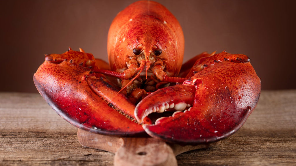 A Walkthrough of Vital Lobster Eating Utensils Blog Image