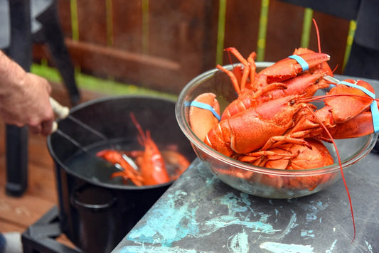 The Evolution of Lobster as a Culinary Delicacy