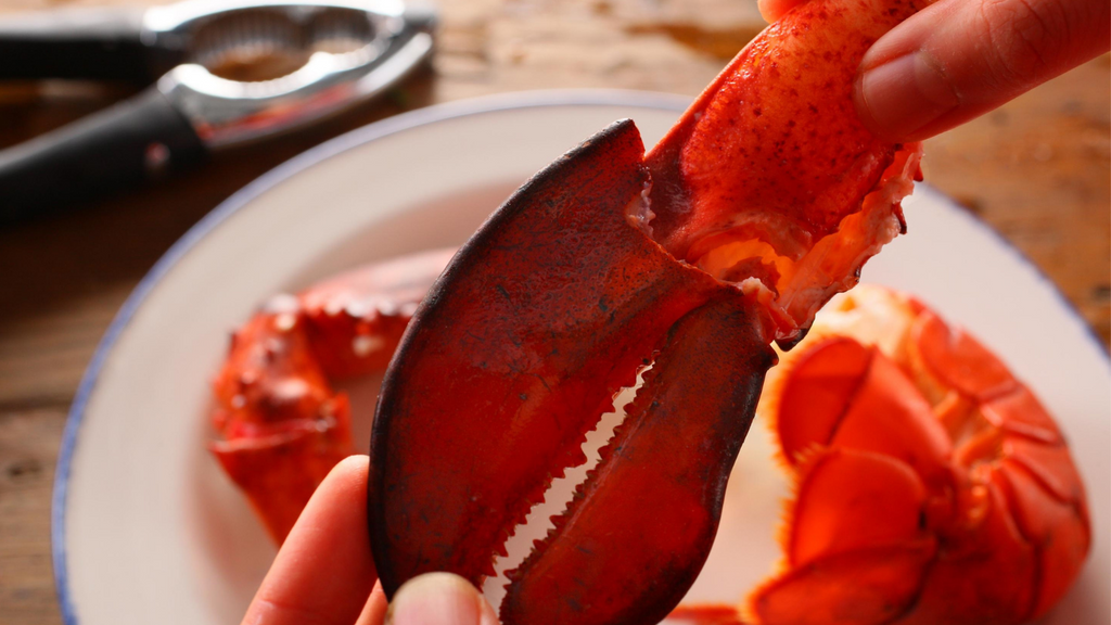 Beginner Mistakes You Can Avoid When Cooking Lobster