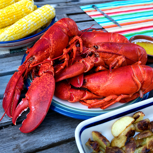 Fresh Maine Lobster. 