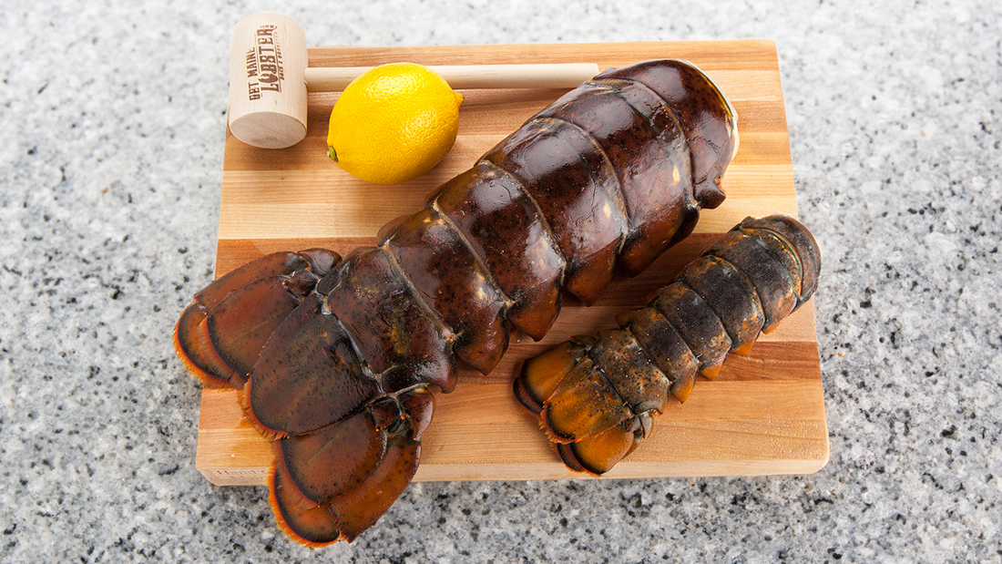 The Titan 16–20 oz Maine Lobster Tail
