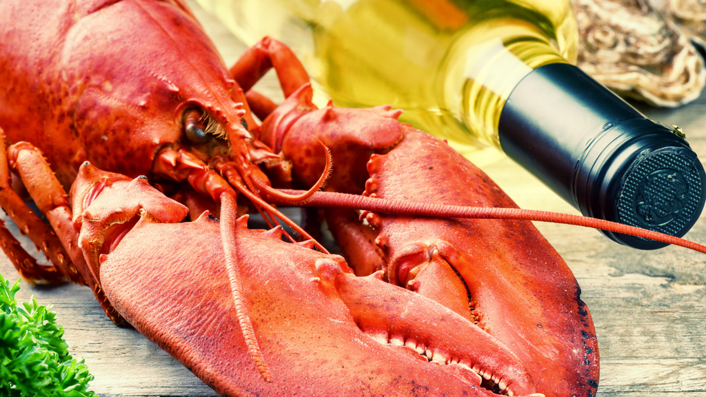 Wine & Seafood Pairings Guide