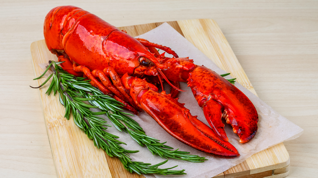 Lobster Facts to Bring to Awkward Christmas Dinners