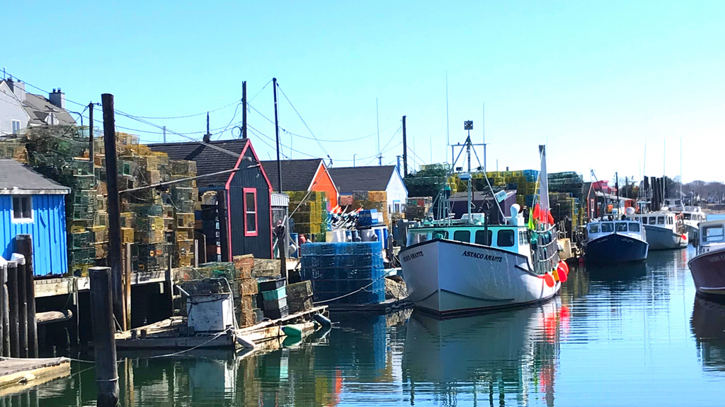 Did You Know? We're On Maine's Oldest Wharf!