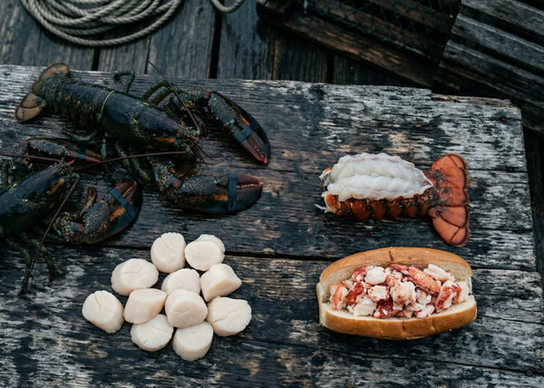 Before the Shed: Why April Is the Best-Kept Secret in Maine Lobster