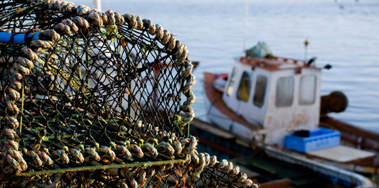 lobster fishing boat and cage