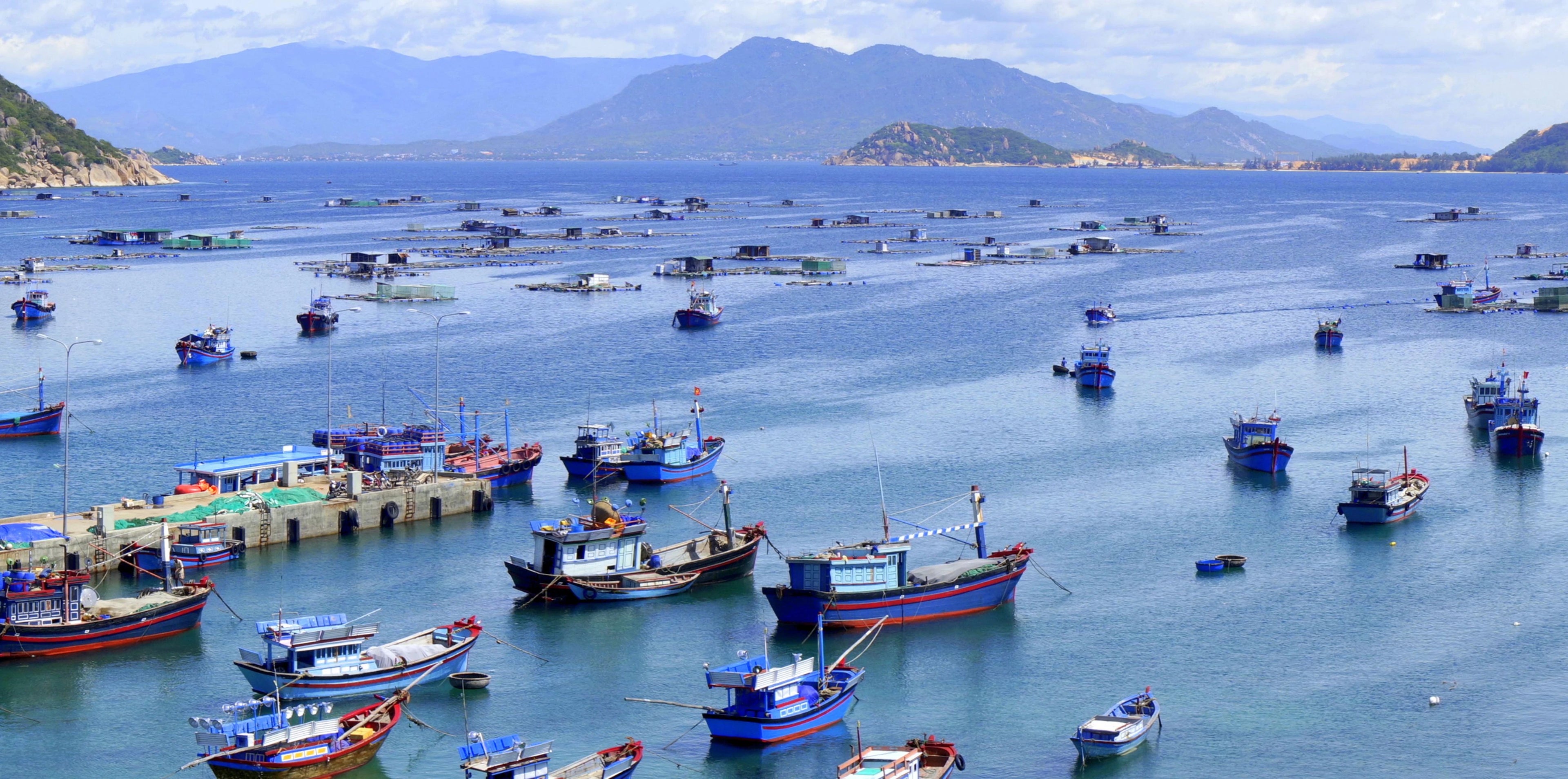 Future of Seafood: Innovations in Sustainable Lobster Farming