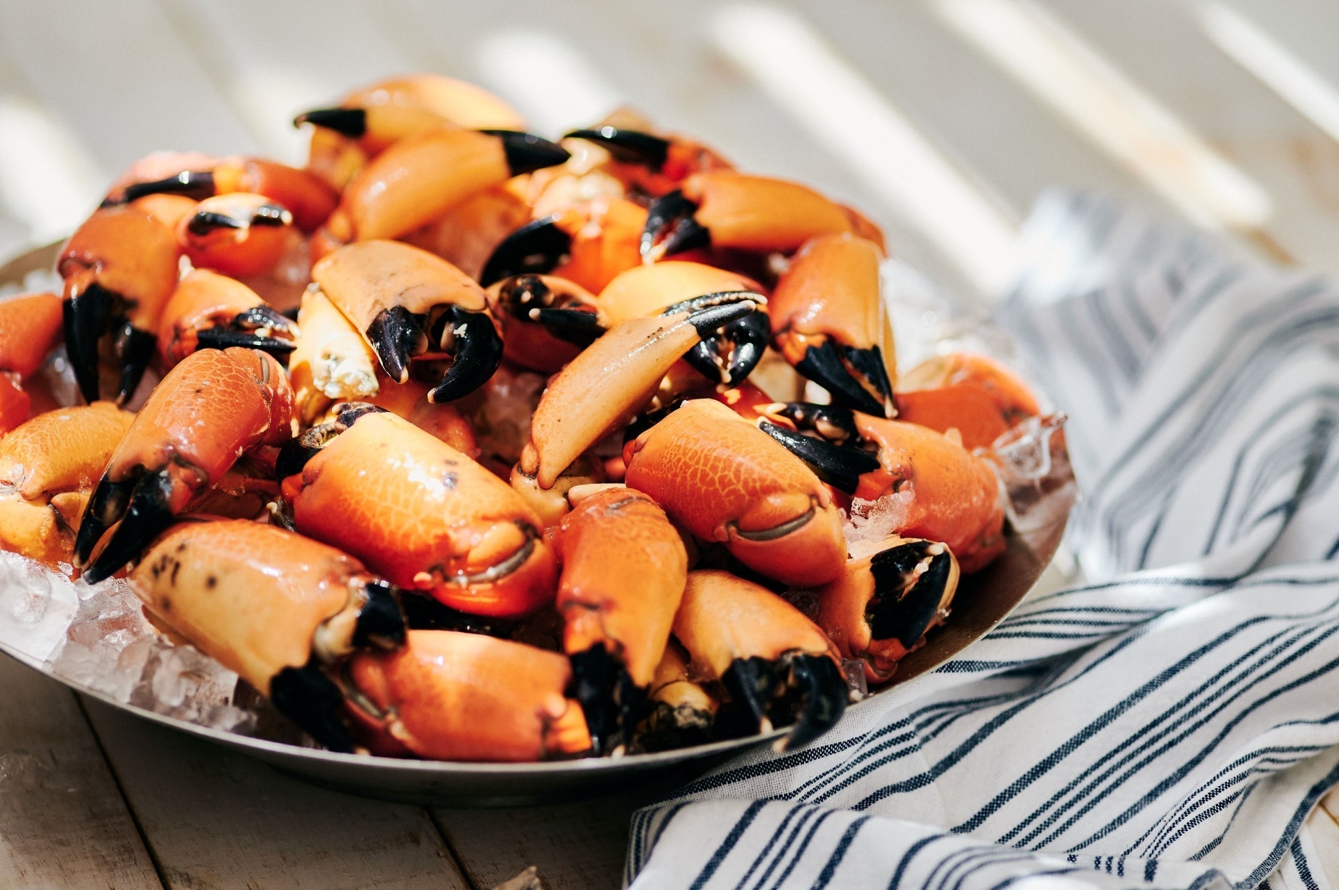 Plate filled with fresh Empress Crab Claws, showcasing their firm texture and delicate flavor.