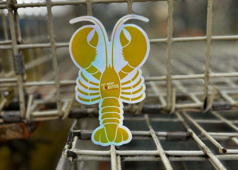 The Golden Lobster Hunt: Celebrating 10 Years of December Kindness
