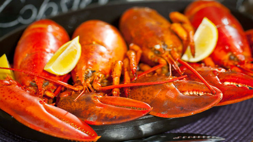 Spotlight: Whole Live Cull Lobsters