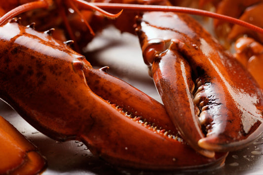 Lobster Secret Hacks: Elevate Your Cooking with Insider Knowledge