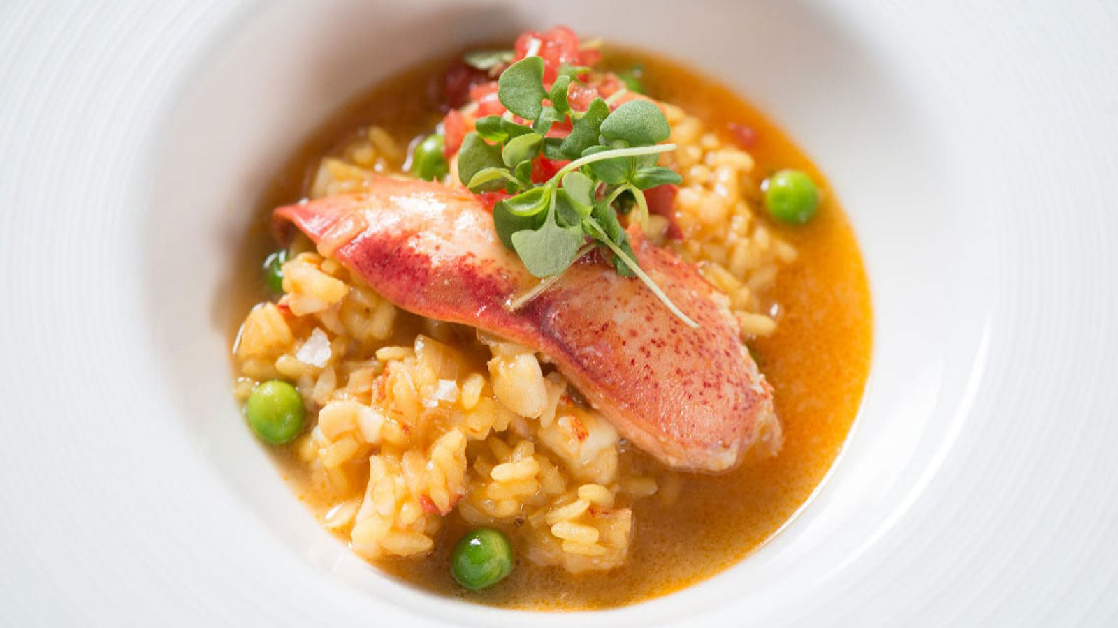 Maine Lobster Risotto – Get Maine Lobster