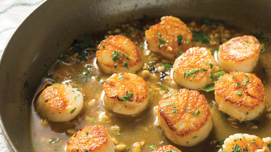 Spotlight: Maine Dayboat Scallops Blog image by Get Maine Lobster