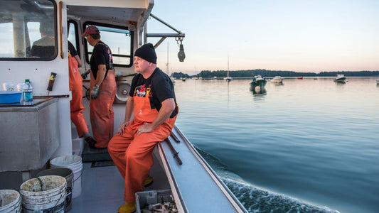 Understanding the Impact of Recent Tariffs on the Maine Lobster Industry