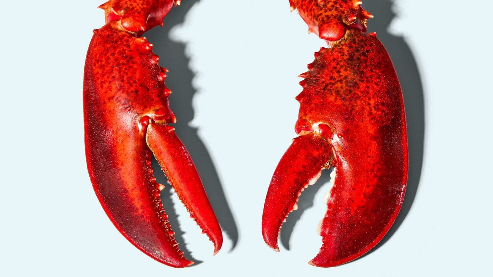 No Price Hikes. Just Lobster (and a Shot at $500).