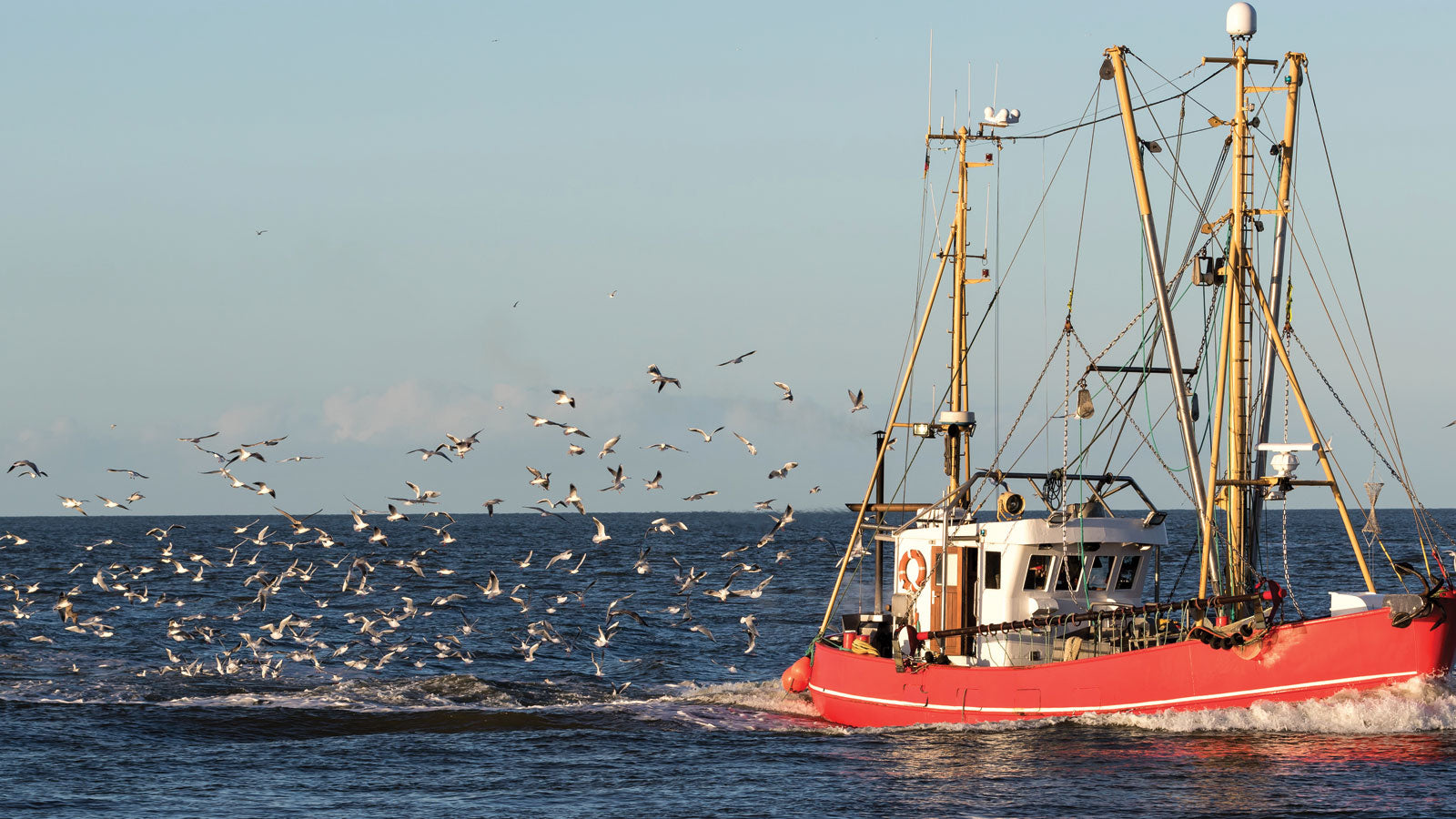 What is “Sustainable” Seafood? Expert Guides Consumers on How to Select the Right Fish Blog image by Get Maine Lobster