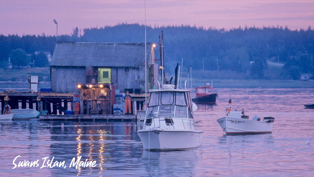 Fisherman's Wharf in Swans Island Maine Image by Get Maine Lobster