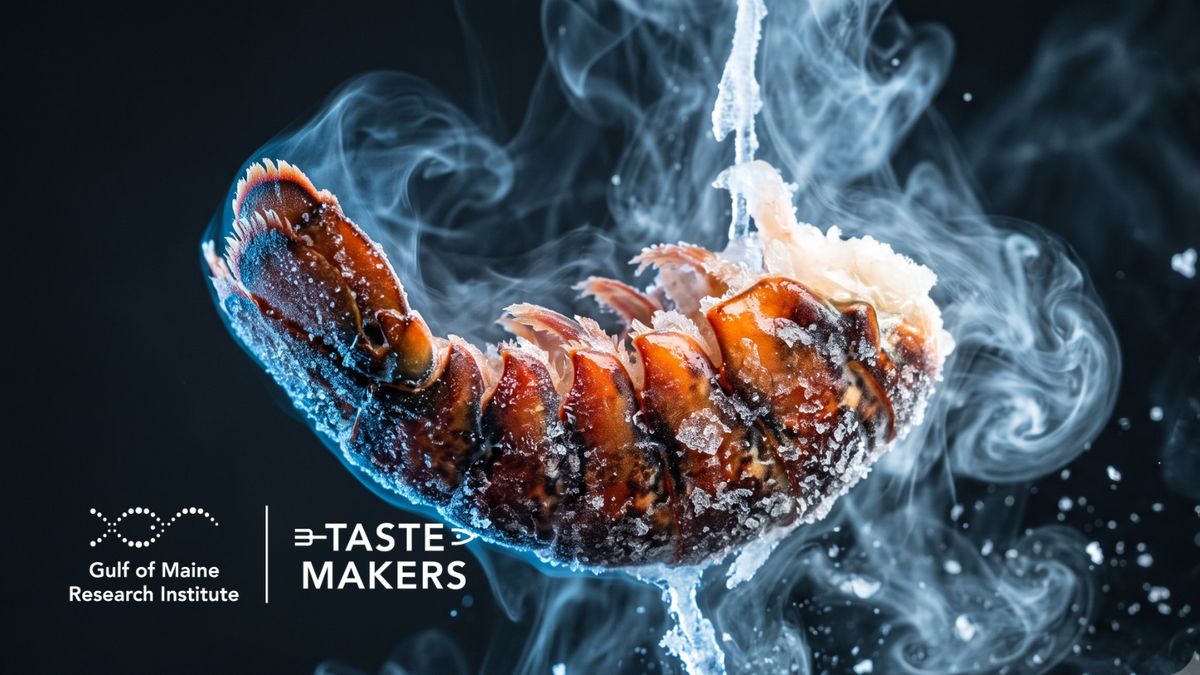 Get Maine Lobster Joins Gulf of Maine Tastemakers