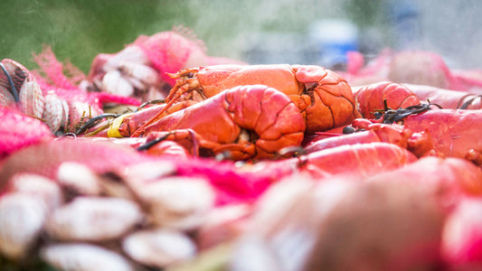 History of the Traditional Maine Lobster Bake